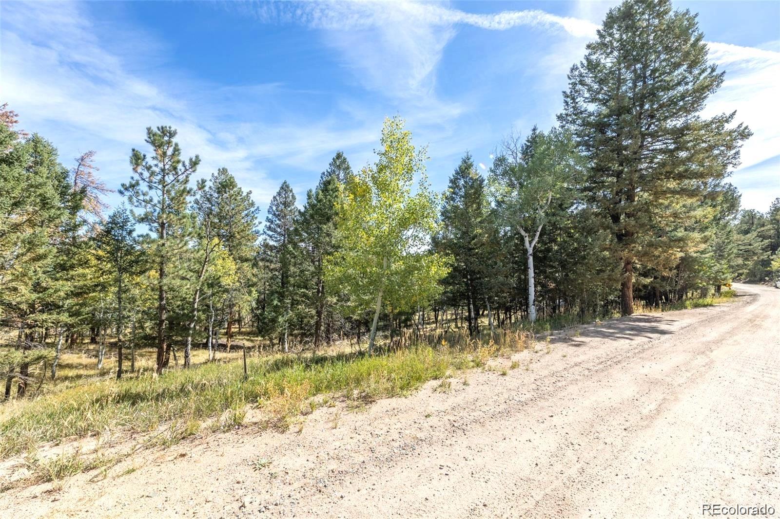 1845 Burland Drive Bailey CO 80421