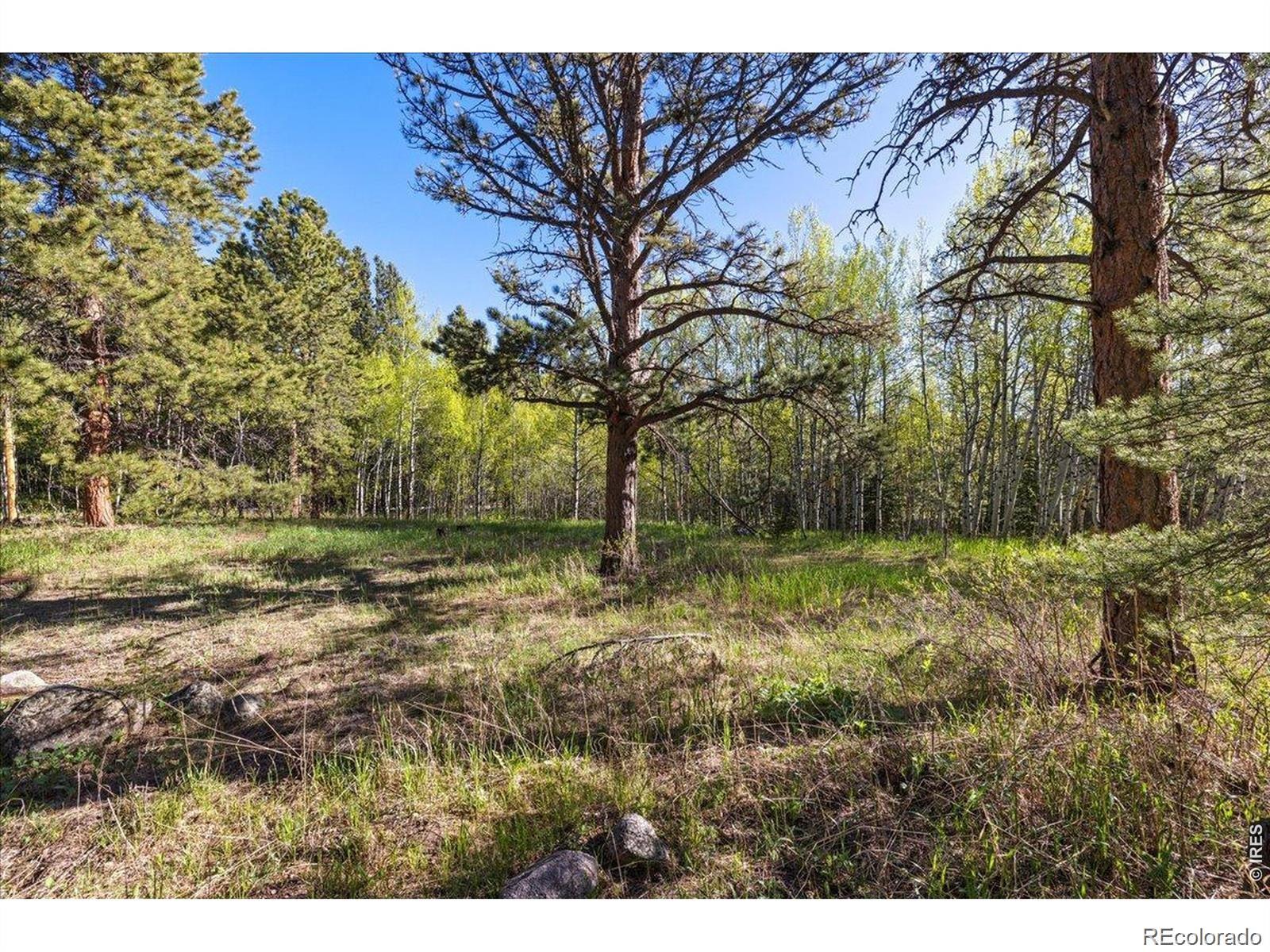 105 Caribou Street Nederland CO 80466