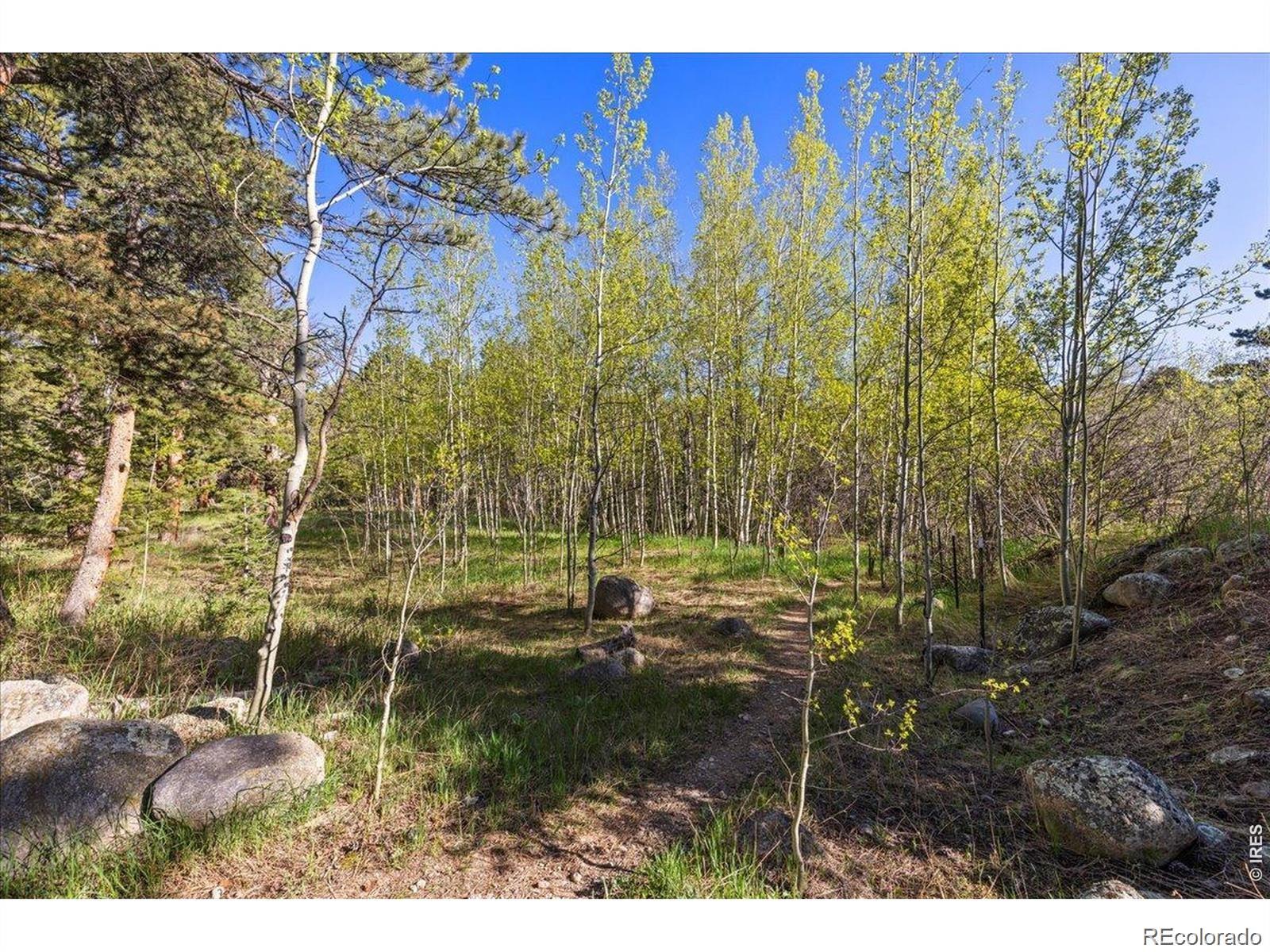 105 Caribou Street Nederland CO 80466