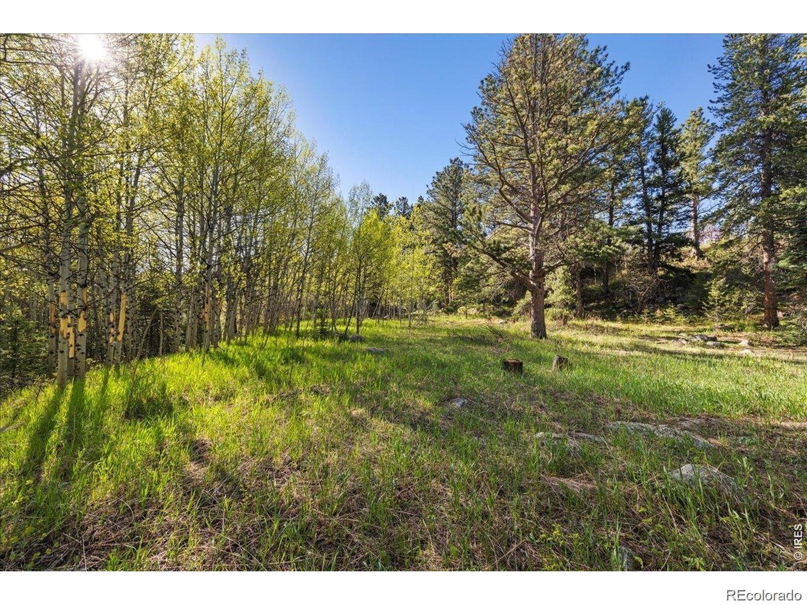 105 Caribou Street Nederland CO 80466