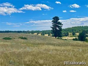 11726 Cr 102 Elbert CO 80116