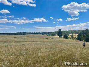 11726 Cr 102 Elbert CO 80116