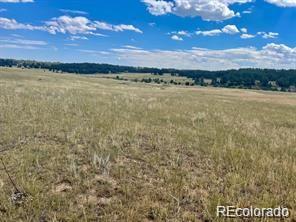 11726 Cr 102 Elbert CO 80116