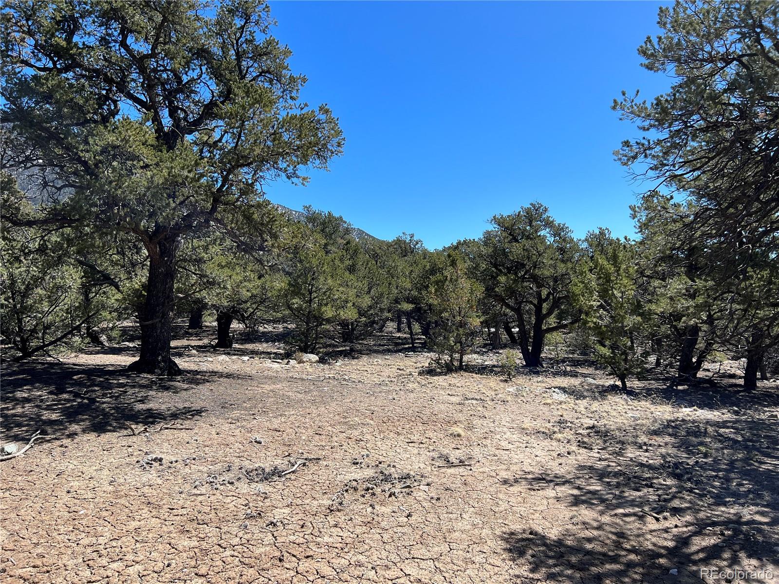 4219 Al Fresco Way Crestone CO 81131