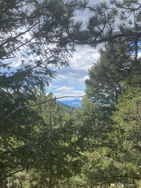 216 & 252 Troy Drive Cripple Creek CO 80813