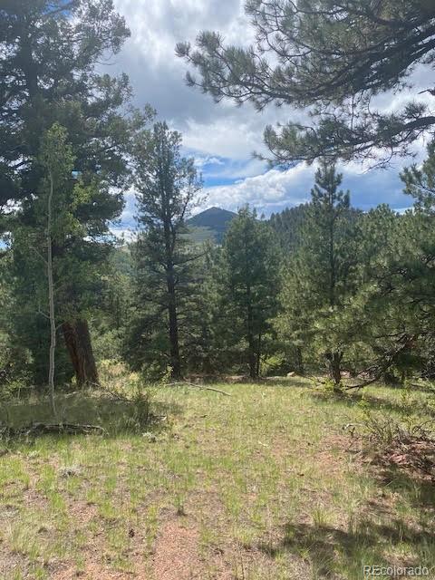 216 & 252 Troy Drive Cripple Creek CO 80813