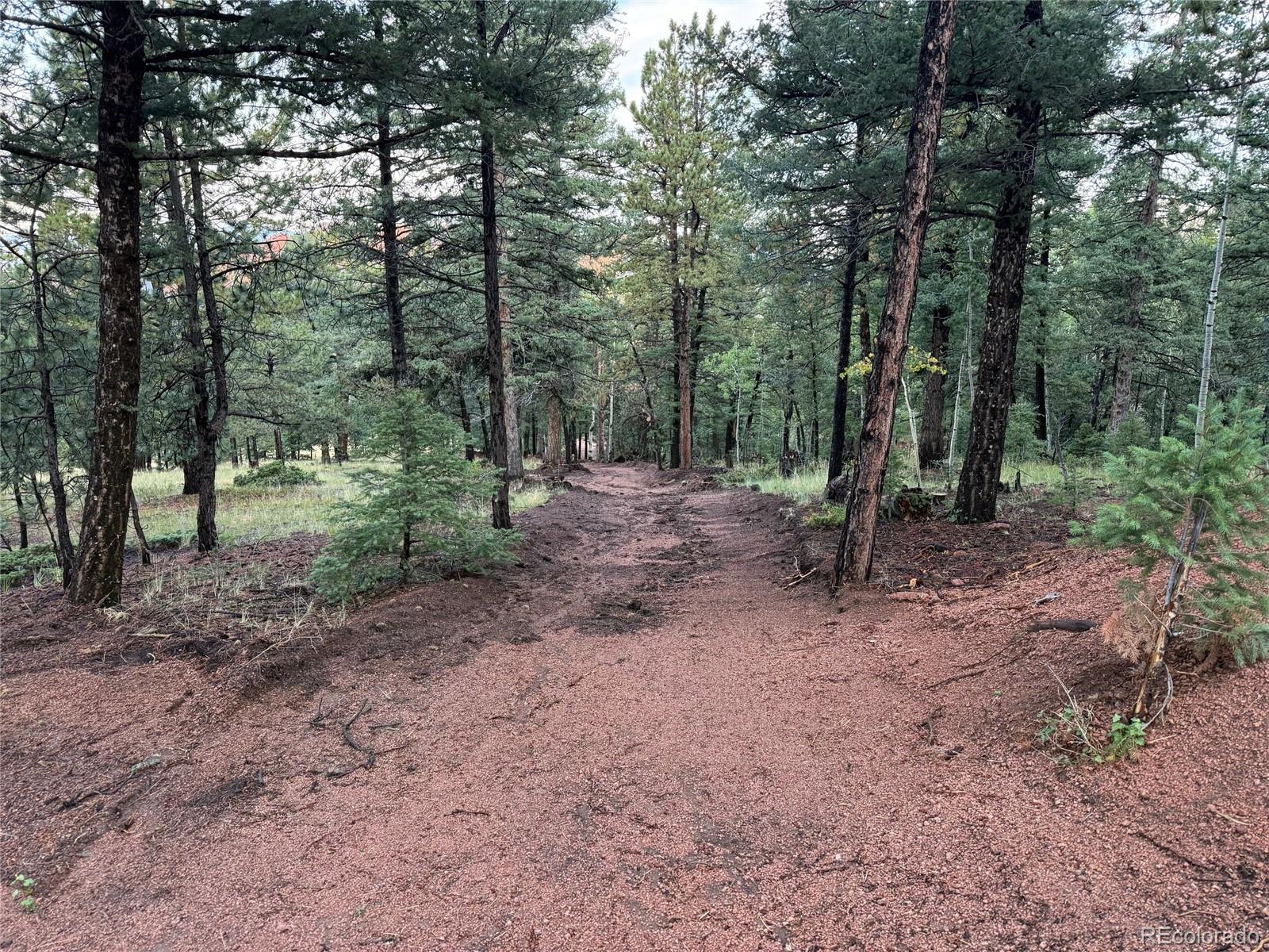 216 & 252 Troy Drive Cripple Creek CO 80813