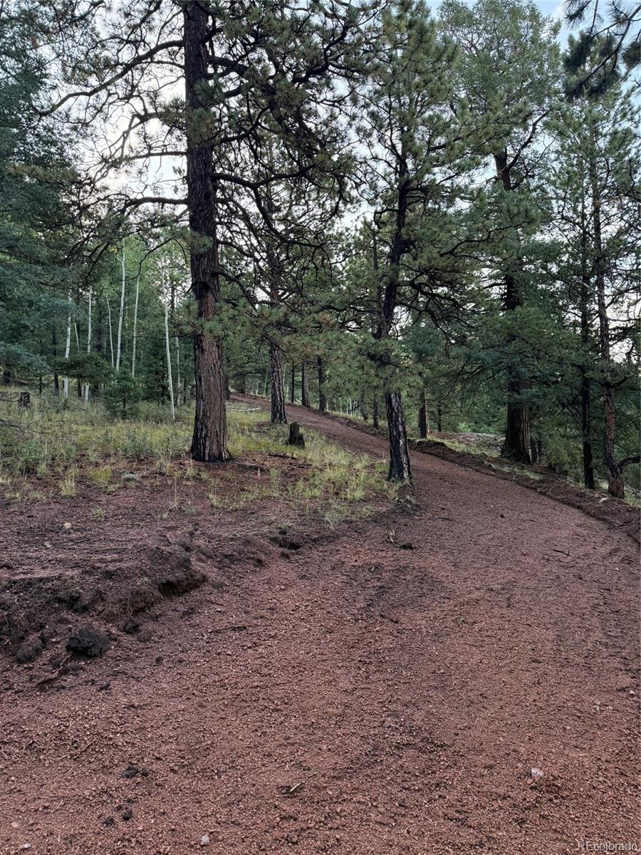 216 & 252 Troy Drive Cripple Creek CO 80813