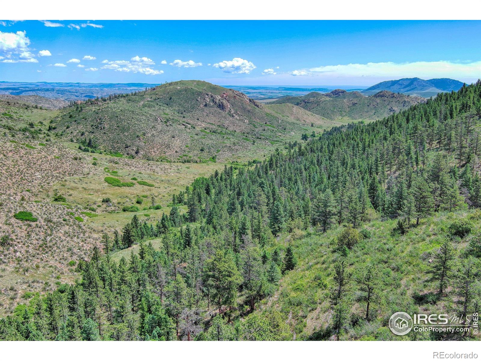 0 Mount Simon Road Livermore CO 80536