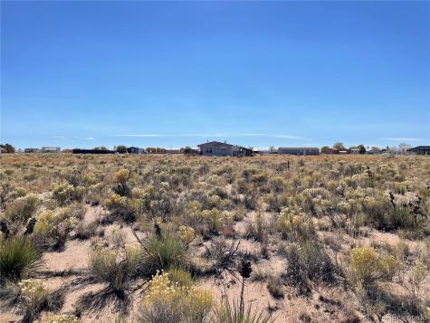 213 Caliente Court Crestone CO 81131