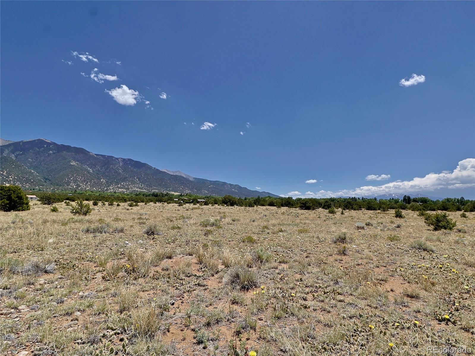 171 Gold Rush Trail Crestone CO 81131