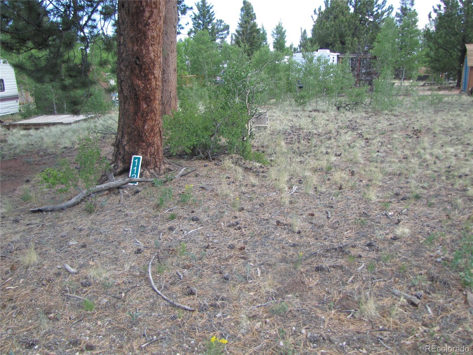 112 Lantern Loop Hartsel CO 80449
