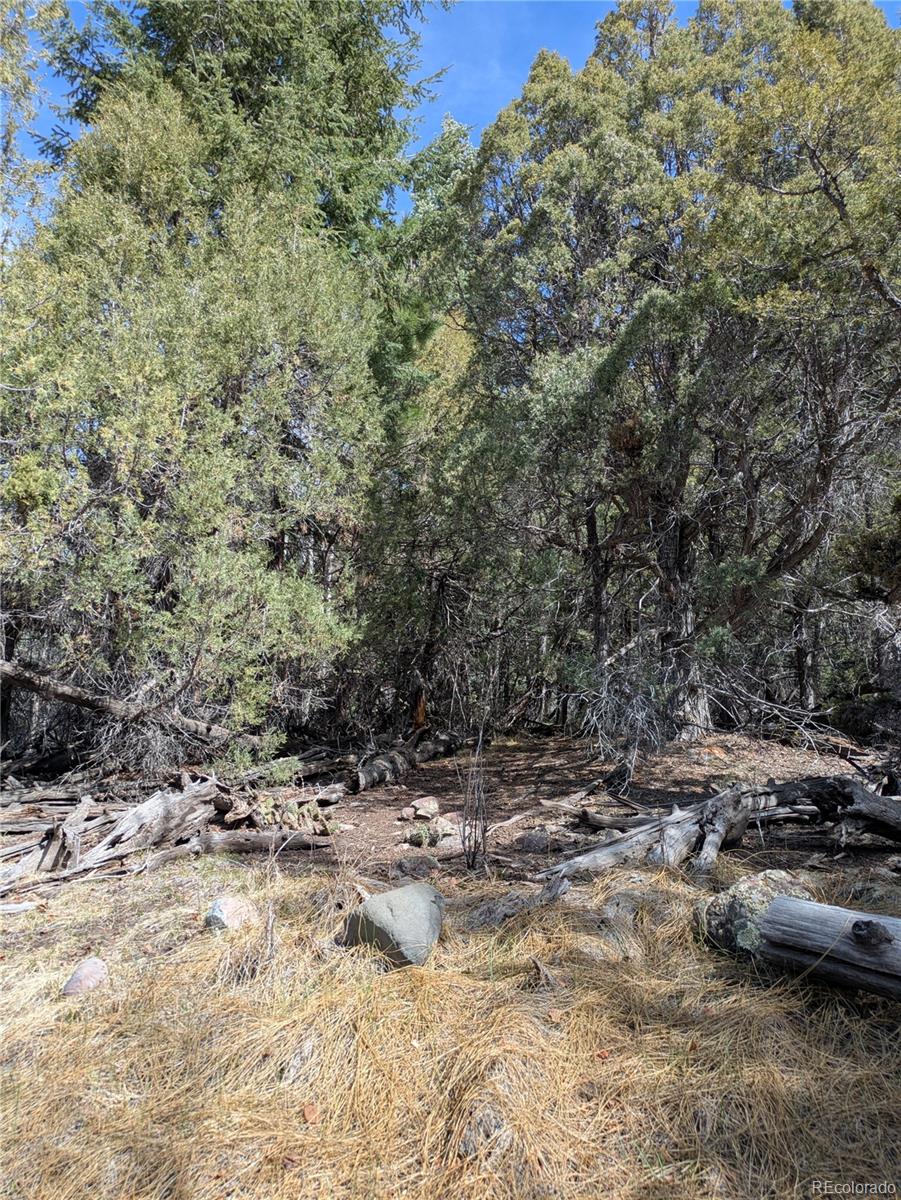 446 Arrowhead Overlook Crestone CO 81131