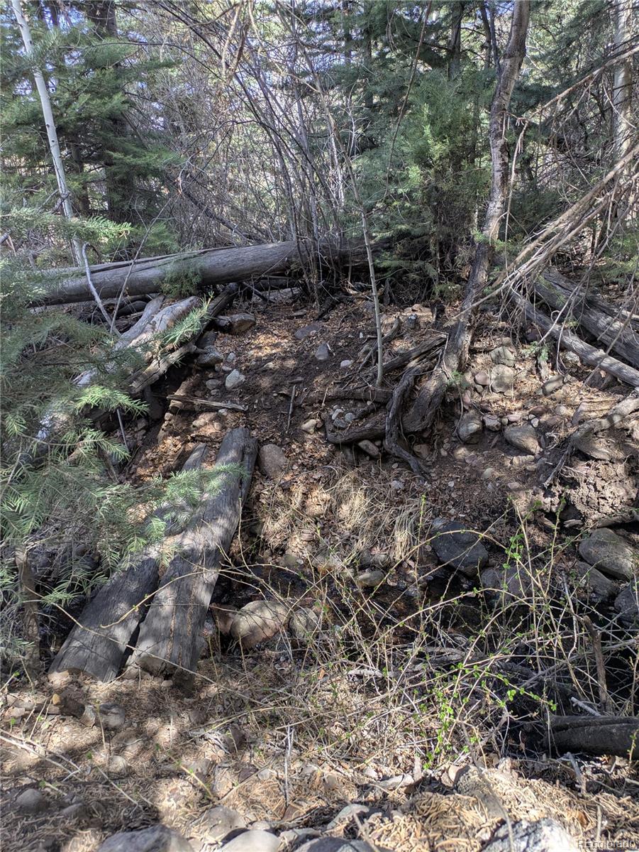446 Arrowhead Overlook Crestone CO 81131