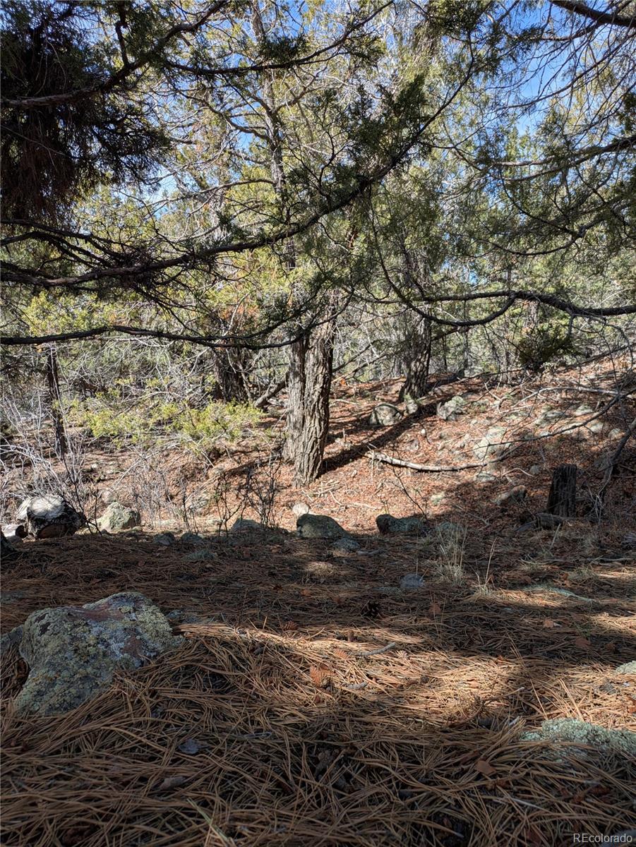 446 Arrowhead Overlook Crestone CO 81131