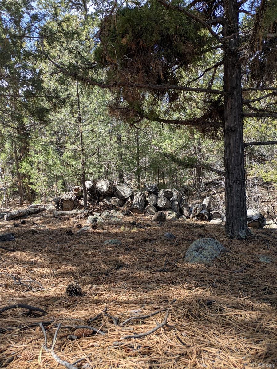 446 Arrowhead Overlook Crestone CO 81131