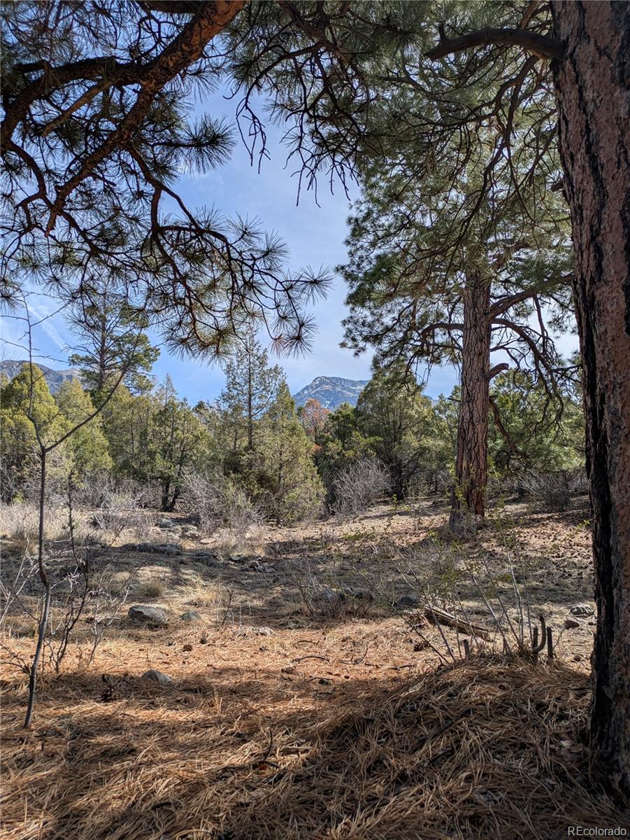 446 Arrowhead Overlook Crestone CO 81131