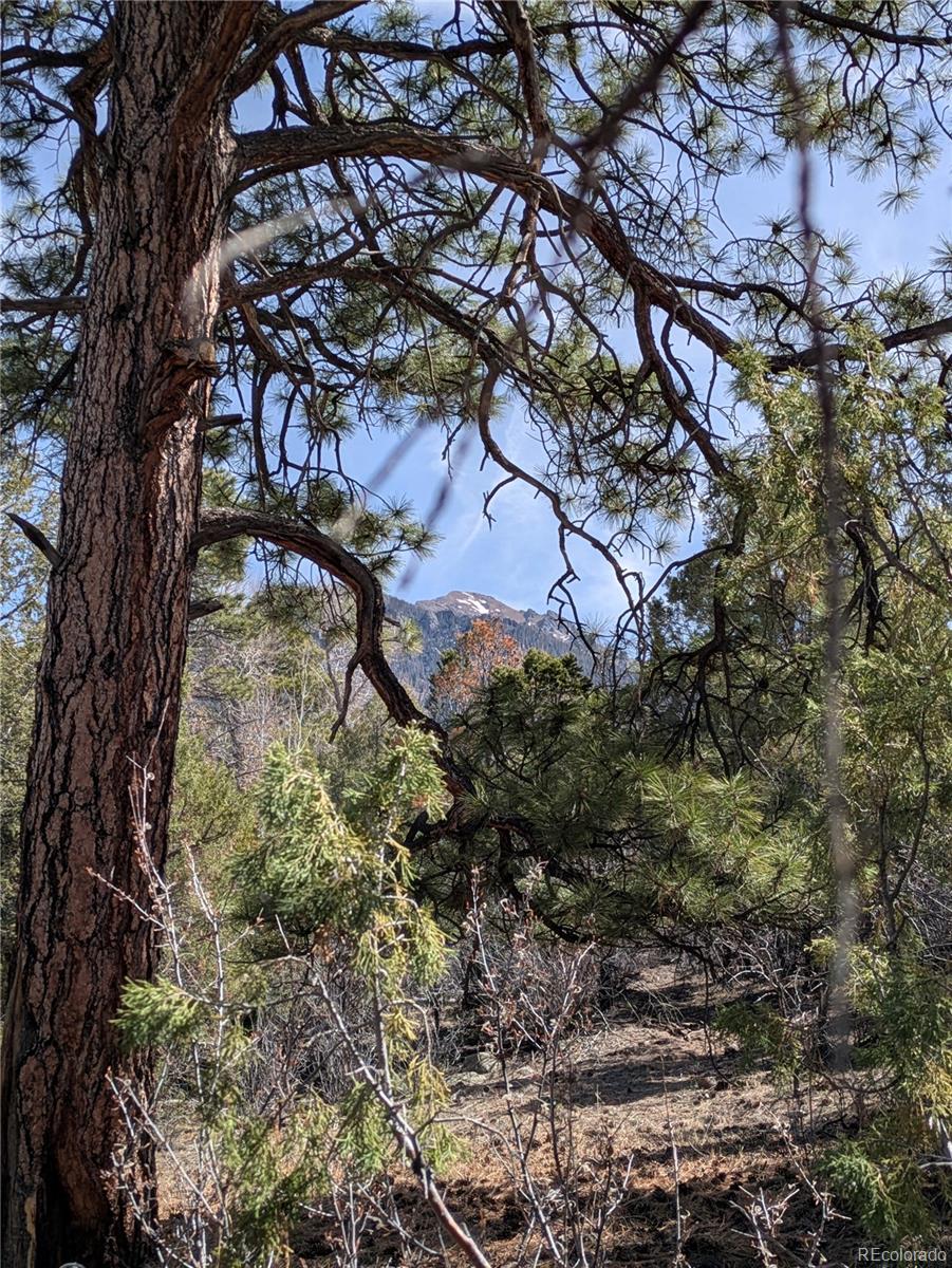 446 Arrowhead Overlook Crestone CO 81131