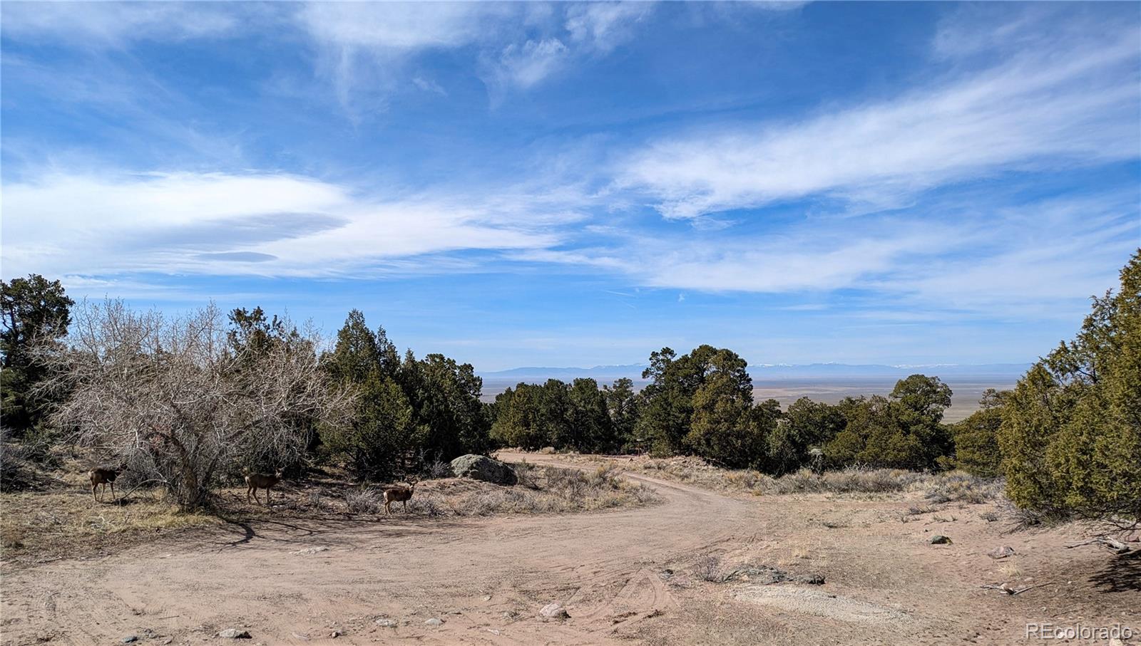 446 Arrowhead Overlook Crestone CO 81131