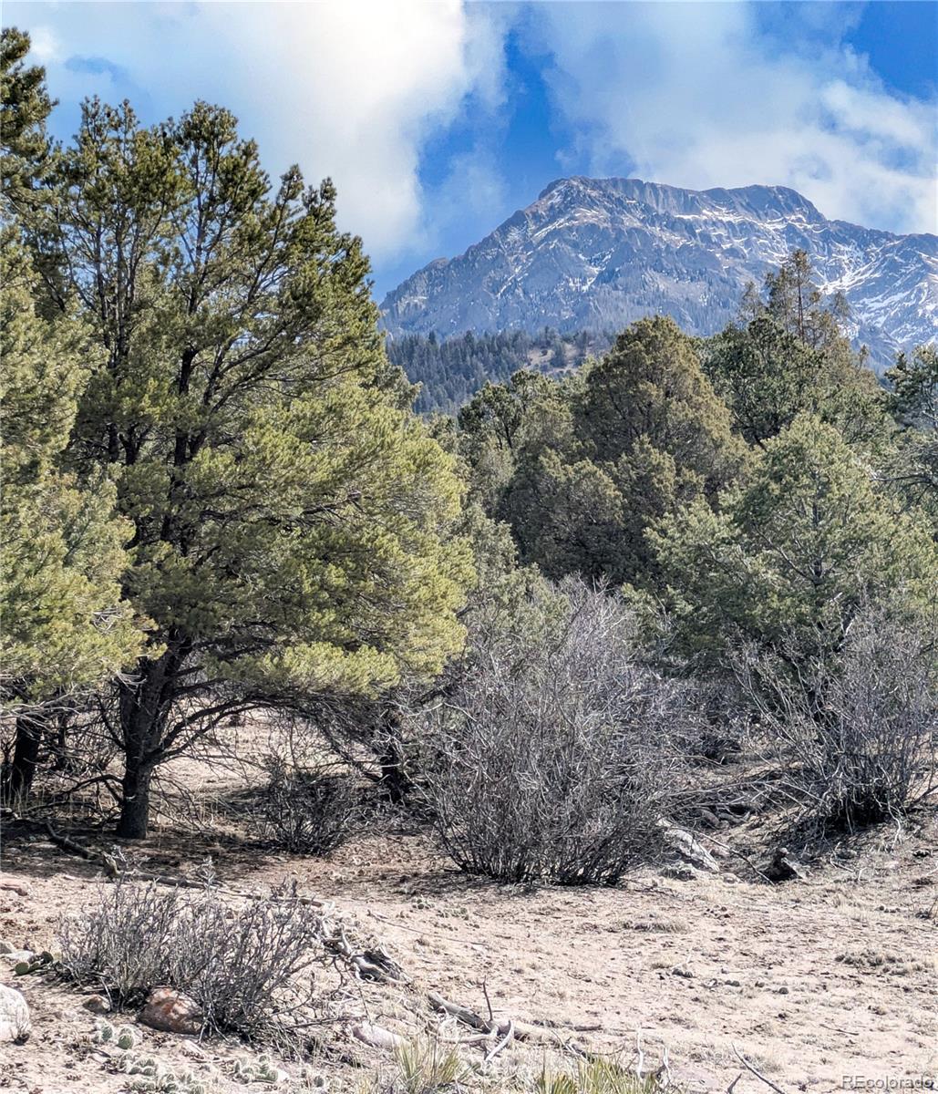 446 Arrowhead Overlook Crestone CO 81131