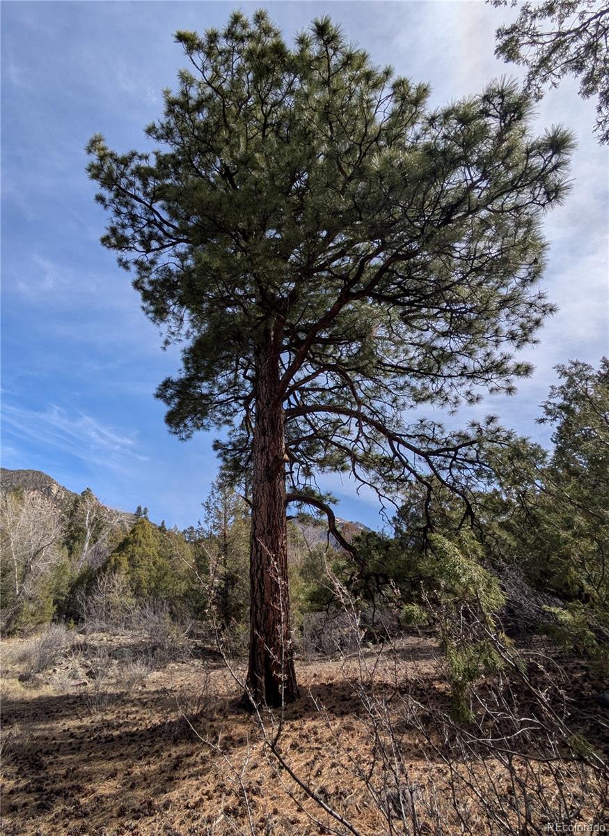 446 Arrowhead Overlook Crestone CO 81131
