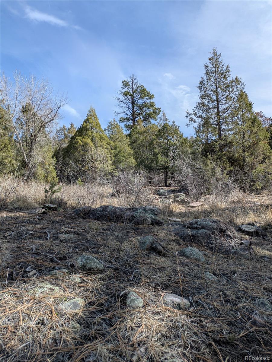 446 Arrowhead Overlook Crestone CO 81131
