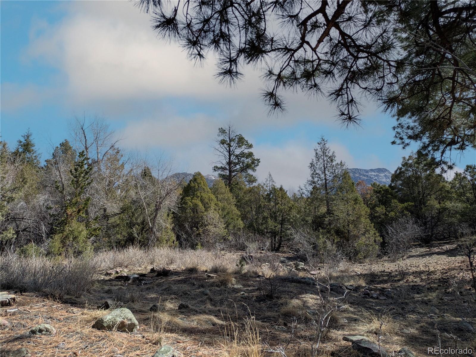 446 Arrowhead Overlook Crestone CO 81131