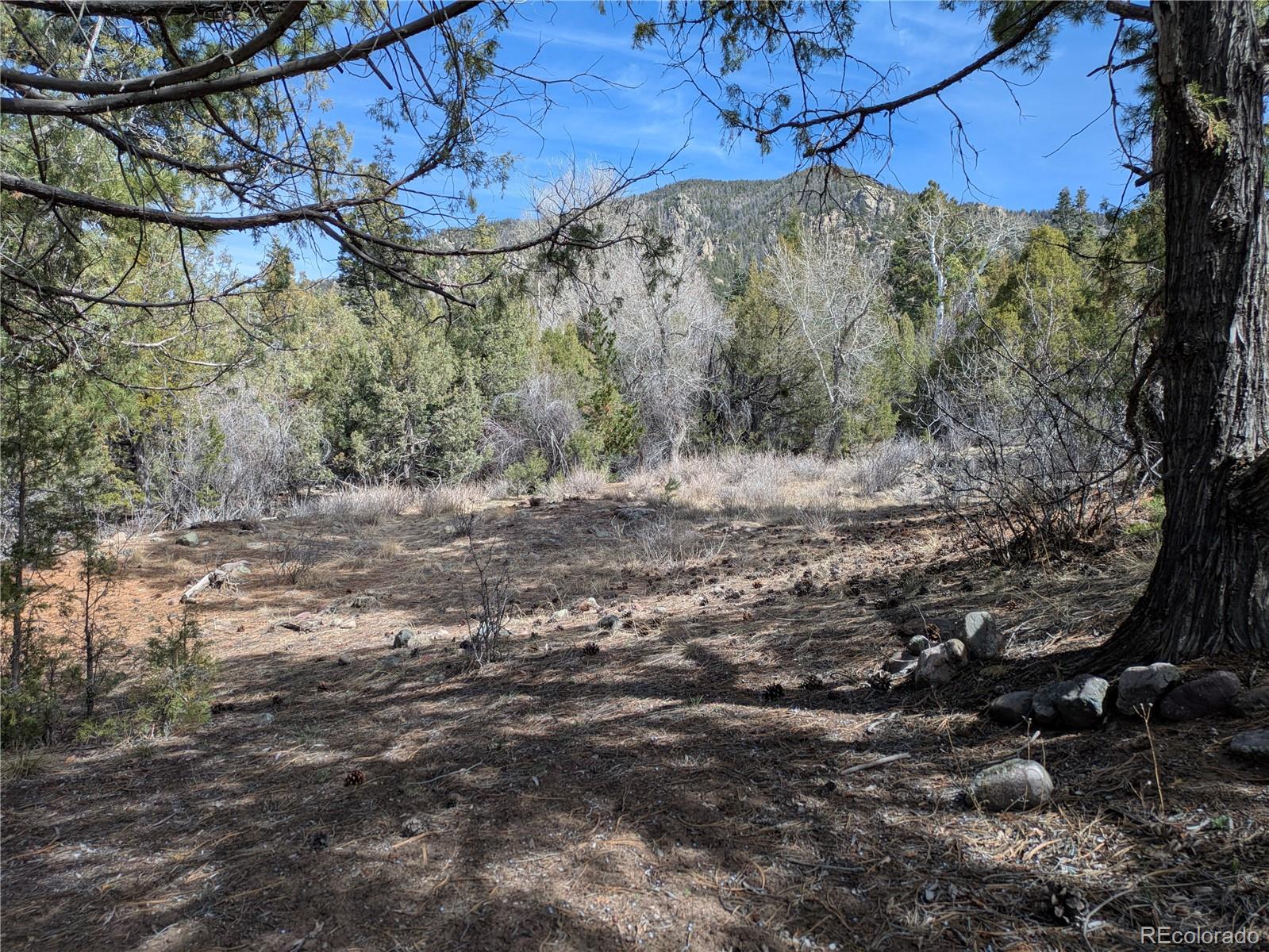 446 Arrowhead Overlook Crestone CO 81131