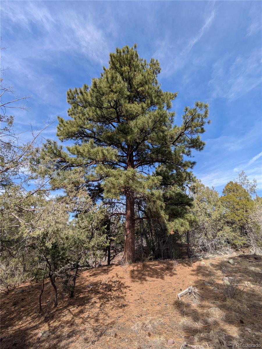 446 Arrowhead Overlook Crestone CO 81131