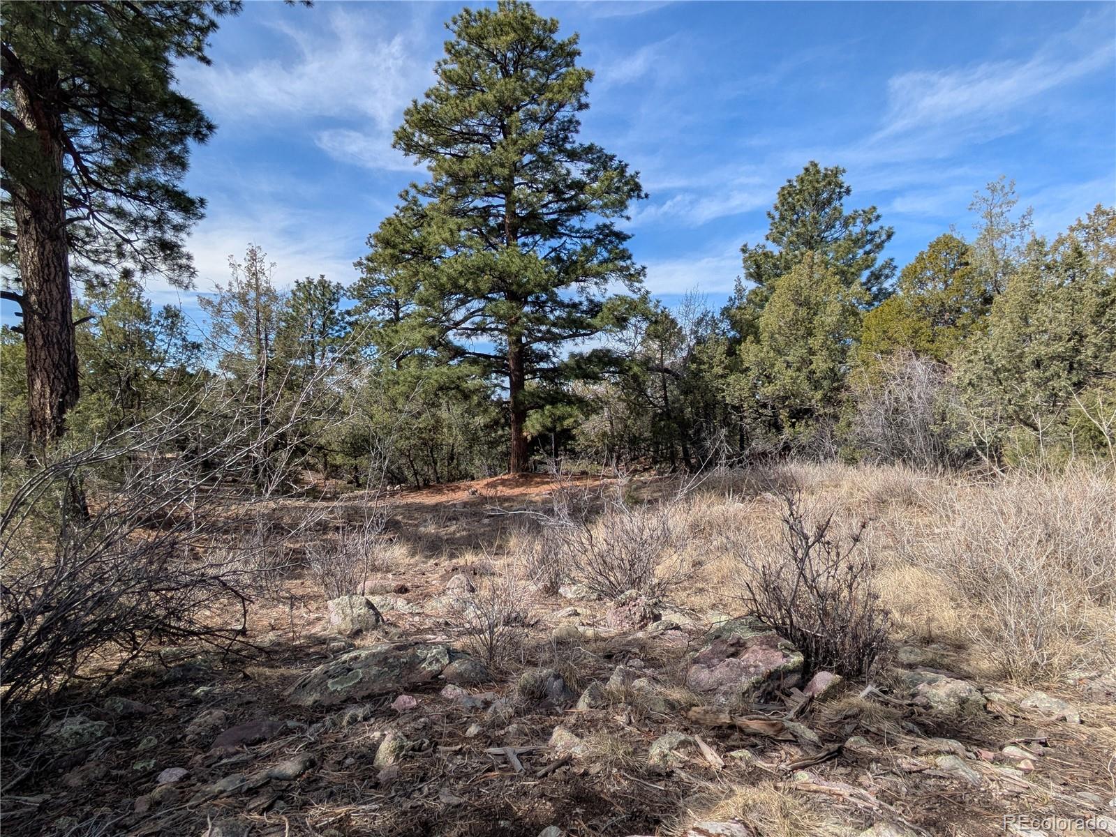 446 Arrowhead Overlook Crestone CO 81131