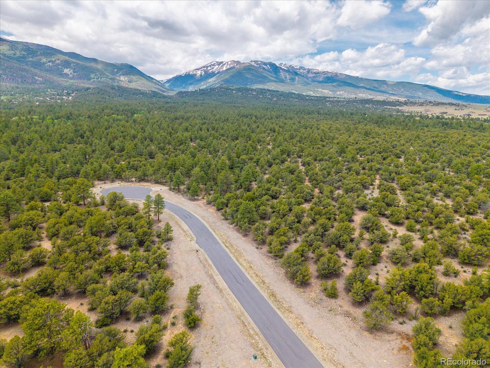29269 Timber Ridge Buena Vista CO 81211