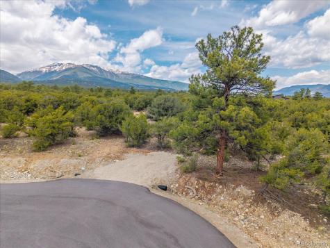 29269 Timber Ridge Buena Vista CO 81211