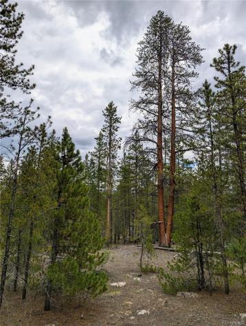 437 Juniper Drive Twin Lakes CO 81251