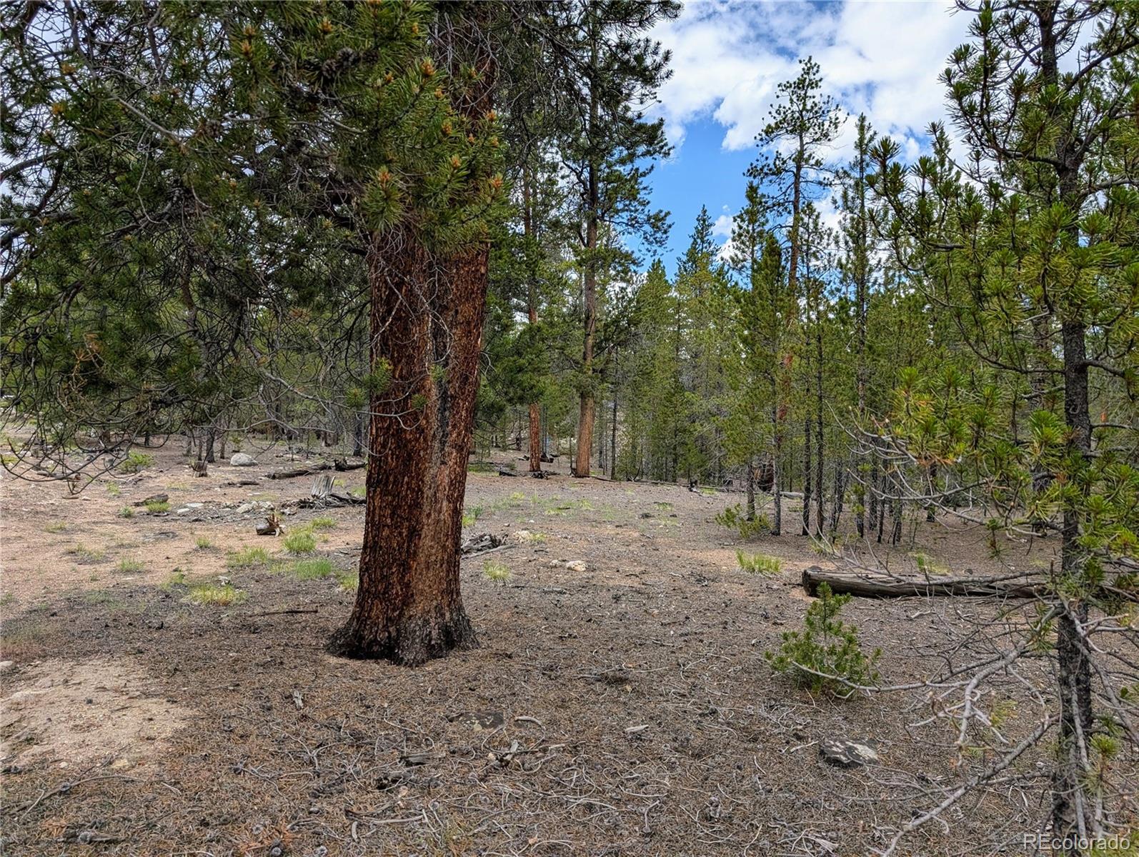 437 Juniper Drive Twin Lakes CO 81251