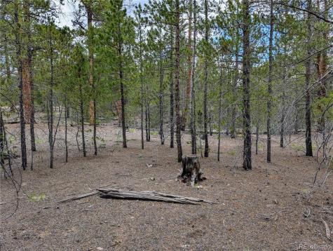 437 Juniper Drive Twin Lakes CO 81251