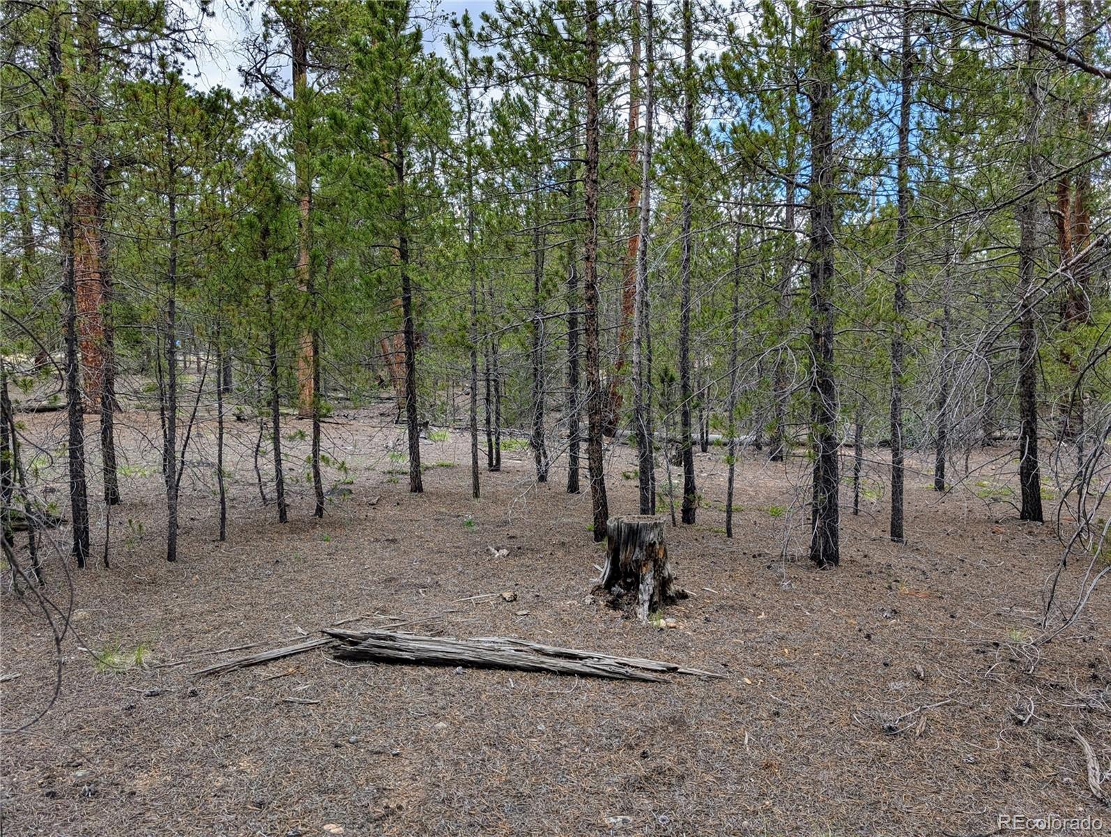 437 Juniper Drive Twin Lakes CO 81251
