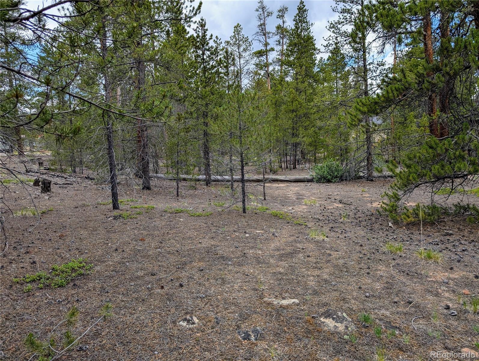 437 Juniper Drive Twin Lakes CO 81251