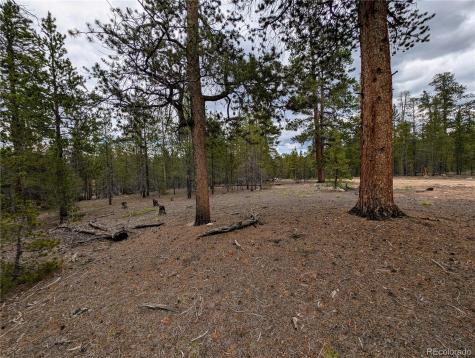 437 Juniper Drive Twin Lakes CO 81251
