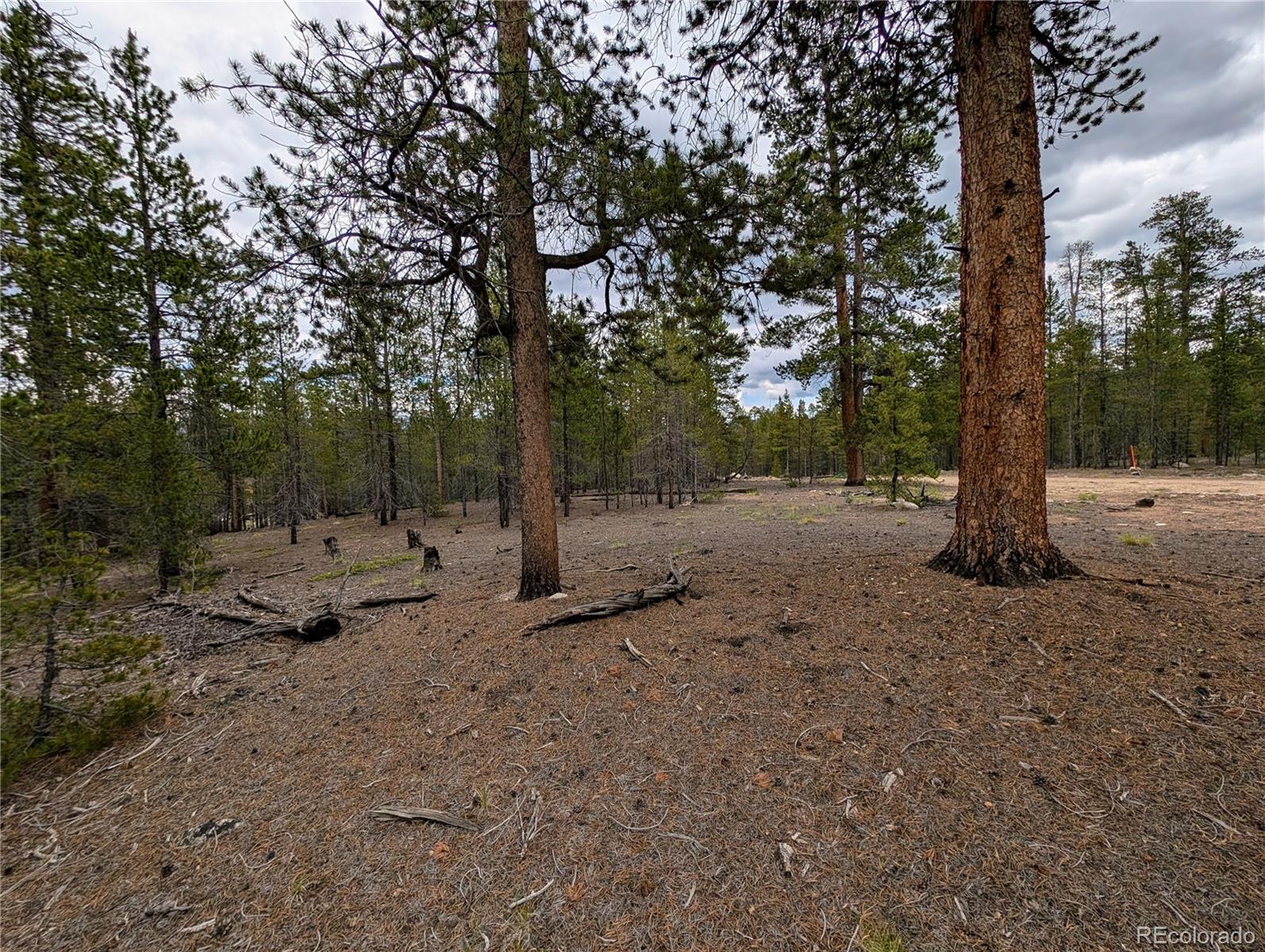 437 Juniper Drive Twin Lakes CO 81251