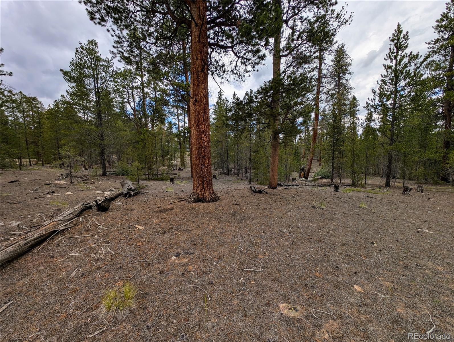 437 Juniper Drive Twin Lakes CO 81251