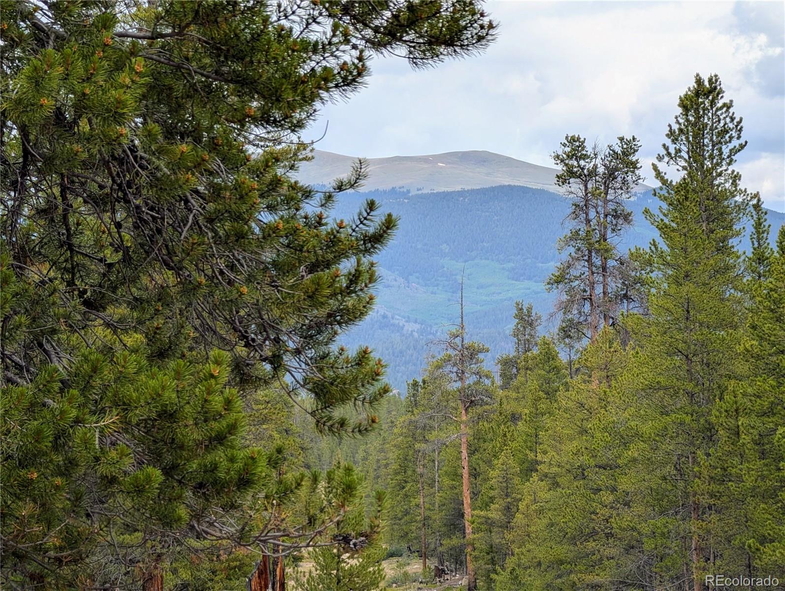437 Juniper Drive Twin Lakes CO 81251