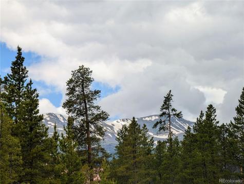 437 Juniper Drive Twin Lakes CO 81251