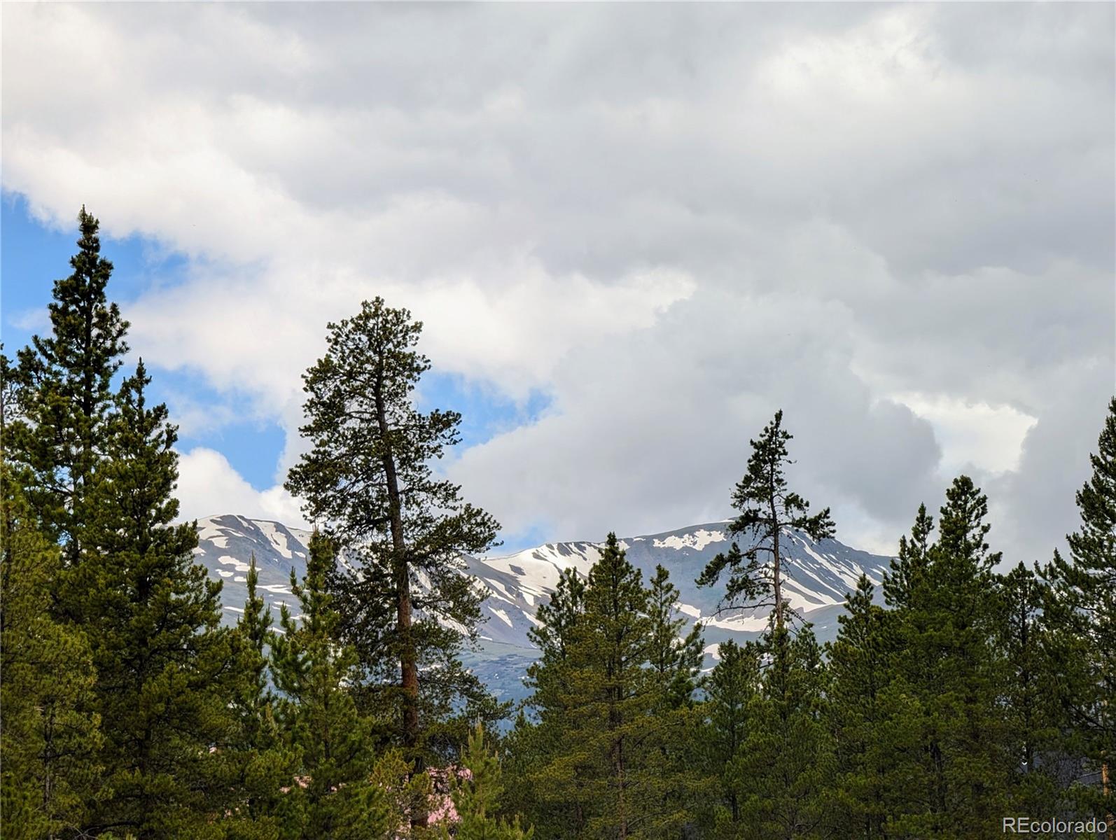 437 Juniper Drive Twin Lakes CO 81251