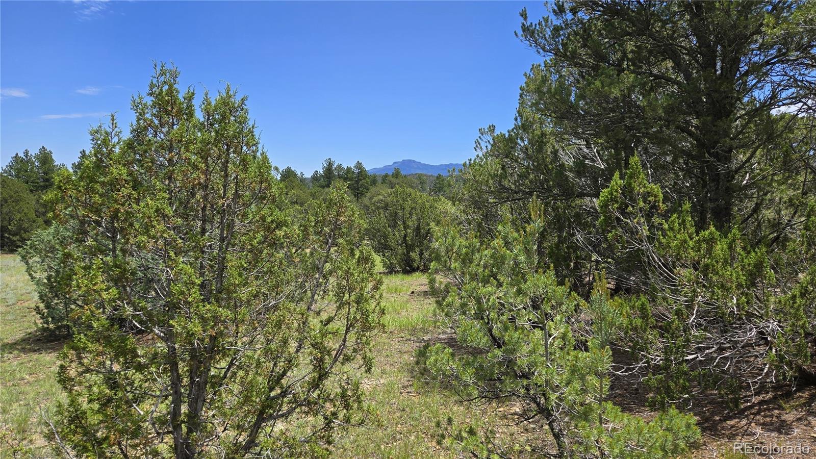 20 Colorado Mountain Lake Estates Trinidad CO 81082