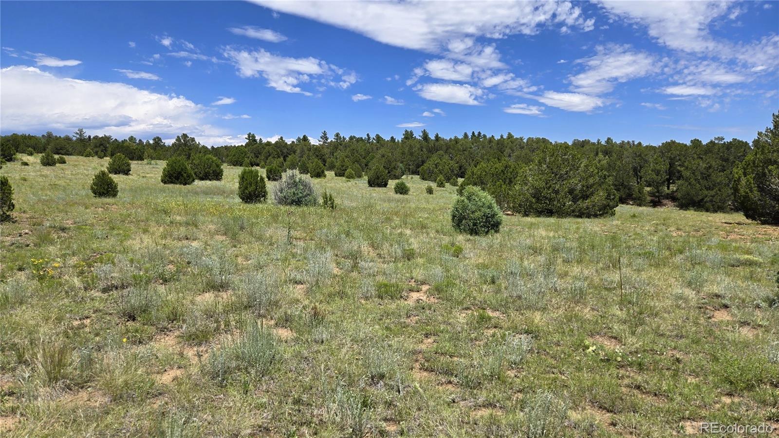 20 Colorado Mountain Lake Estates Trinidad CO 81082