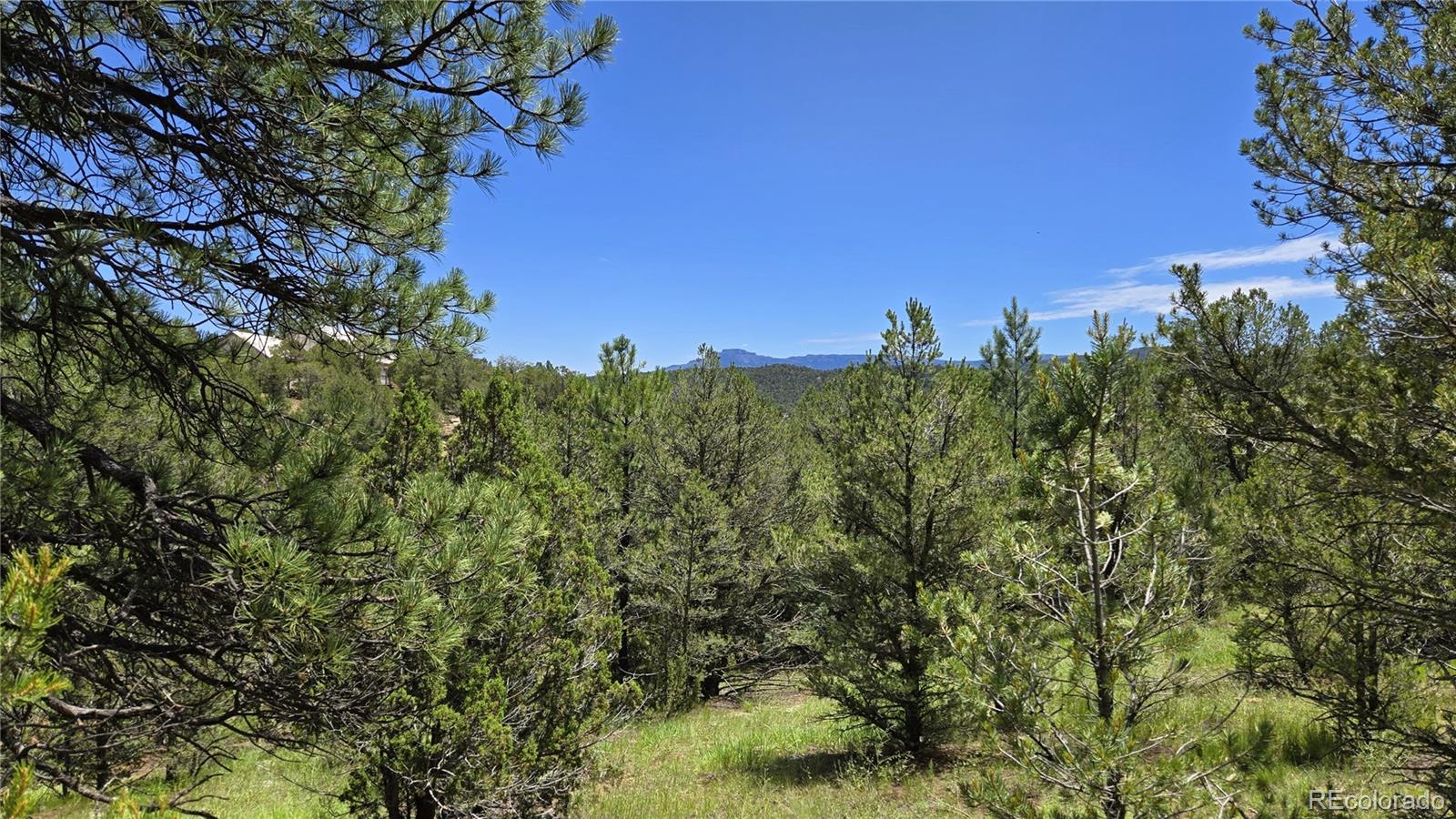 20 Colorado Mountain Lake Estates Trinidad CO 81082