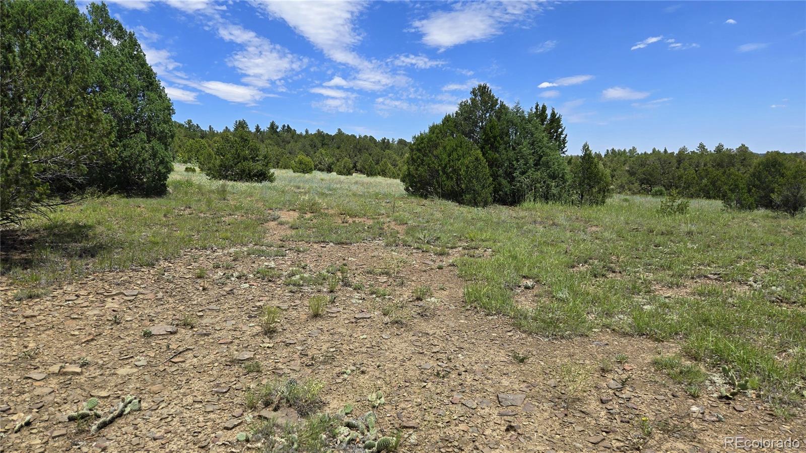 20 Colorado Mountain Lake Estates Trinidad CO 81082
