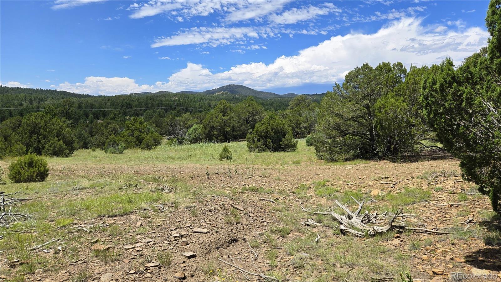 20 Colorado Mountain Lake Estates Trinidad CO 81082