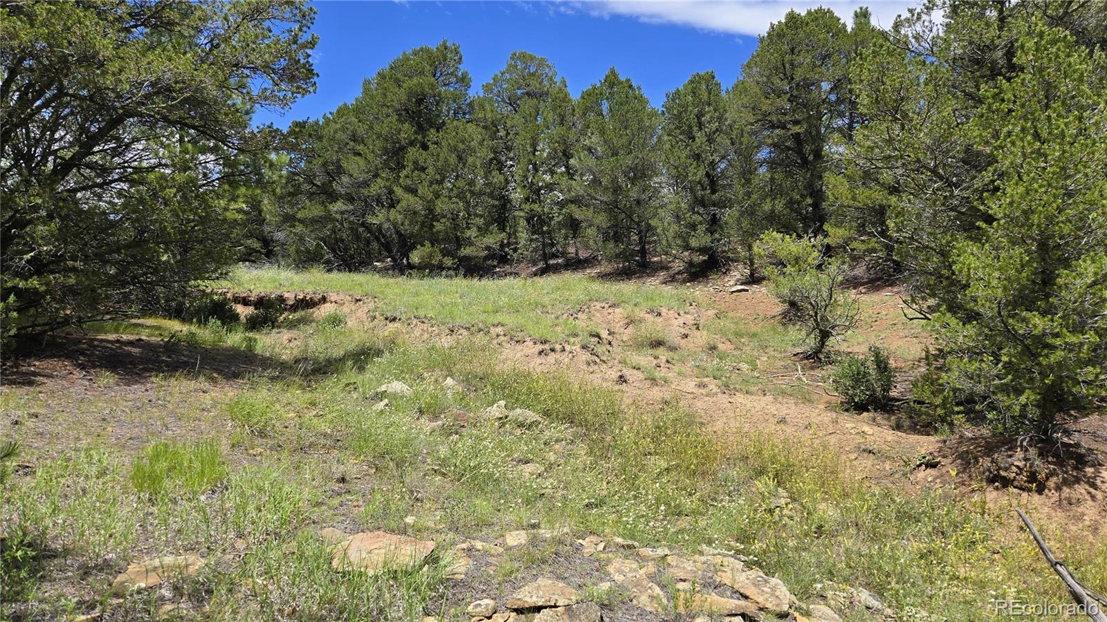 20 Colorado Mountain Lake Estates Trinidad CO 81082