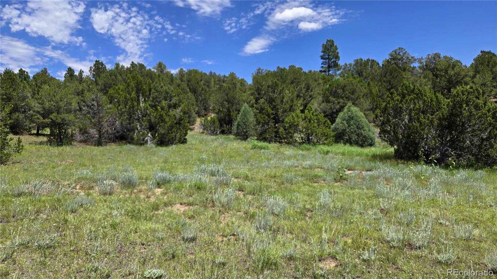20 Colorado Mountain Lake Estates Trinidad CO 81082